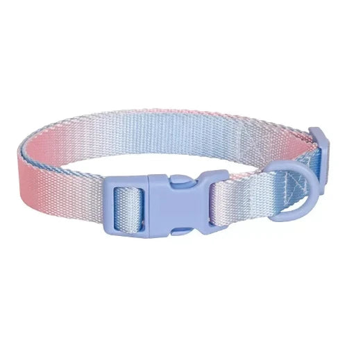 Collier pour Chihuahua en tissu colorรฉ dรฉgradรฉ avec attache. Tendance, pour offrir confort et sรฉcuritรฉ ร votre petit chien ou chat