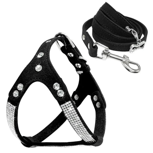 Collier pour Chihuahua : Harnais noir et paillettes avec une laisse. Tendance, pour offrir confort et sรฉcuritรฉ ร votre petit chien ou chat