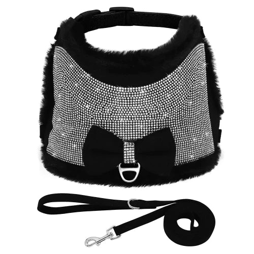 Collier pour Chihuahua : Harnais noir et paillettes avec sa laisse. Tendance, pour offrir confort et sรฉcuritรฉ ร votre petit chien ou chat