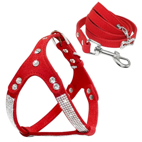 Collier pour Chihuahua : Harnais rouge et paillettes avec une laisse. Tendance, pour offrir confort et sรฉcuritรฉ ร votre petit chien ou chat