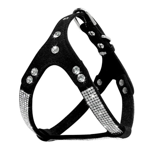Collier pour Chihuahua : Harnais noir et paillettes. Tendance, pour offrir confort et sรฉcuritรฉ ร votre petit chien ou chat