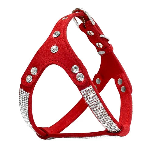 Collier pour Chihuahua : Harnais rouge et paillettes. Tendance, pour offrir confort et sรฉcuritรฉ ร votre petit chien ou chat