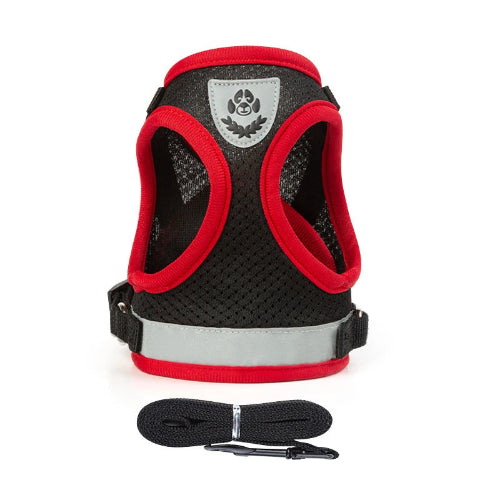 Harnais pour chiens noir réfléchissant. Vendu avec sa Laisse assortie. Confortable, convient aux petits chiens, chihuahuas, ou aux chats. Vendu dans la boutique « Mon Petit Chihuahua »