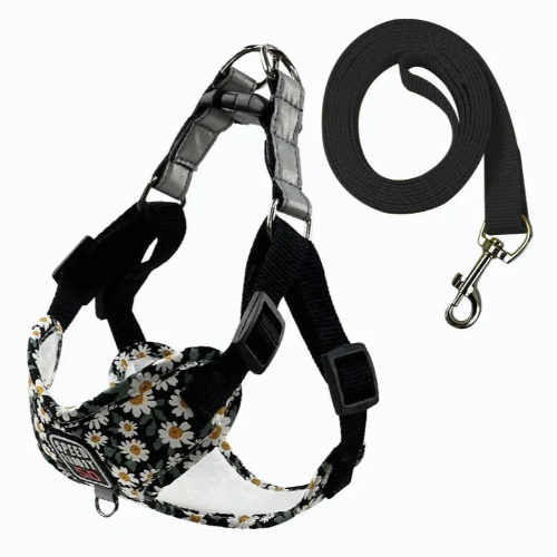 Harnais noir avec motifs fleurs Pรขquerettes et sa laisse assortie pour petit chien. Rรฉglable et confortable, convient aux petits chiens, chihuahuas, ou aux chats.