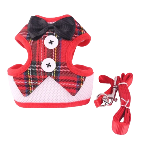 Harnais pour chiens en forme de petit smoking rouge avec sa laisse assortie. Confortable, convient aux petits chiens, chihuahuas, ou aux chats. Vendu dans la boutique ยซย Mon Petit Chihuahuaย ยป
