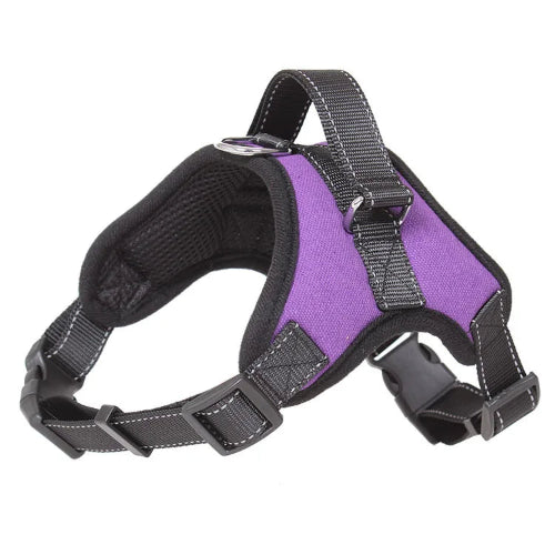 Harnais renforcรฉ violet pour petit chien. Rรฉglable et confortable, convient aux petits chiens, chihuahuas, ou aux chats.