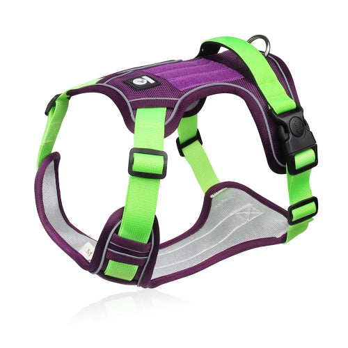 Harnais pour chiens résistant violet et vert. Confortable, convient aux petits chiens, chihuahuas, ou aux chats. Vendu dans la boutique « Mon Petit Chihuahua »
