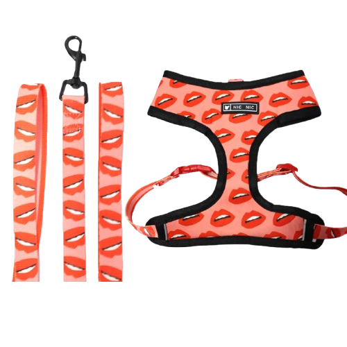 Harnais pour chiens rouge avec motifs bisous. Vendu avec sa Laisse assortie. Confortable, convient aux petits chiens, chihuahuas, ou aux chats. Vendu dans la boutique ยซย Mon Petit Chihuahuaย ยป