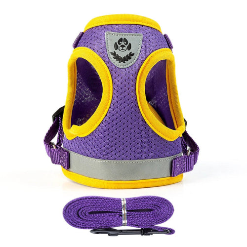 Harnais pour chiens violet réfléchissant. Vendu avec sa Laisse assortie. Confortable, convient aux petits chiens, chihuahuas, ou aux chats. Vendu dans la boutique « Mon Petit Chihuahua »