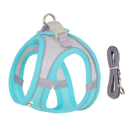 Harnais bleu et gris et une laisse pour Chihuahua โ parfaits pour des promenades sรฉcurisรฉes avec votre petit chien ou chat