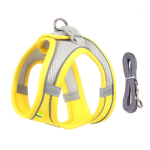 Harnais jaune et gris et une laisse pour Chihuahua โ parfaits pour des promenades sรฉcurisรฉes avec votre petit chien ou chat