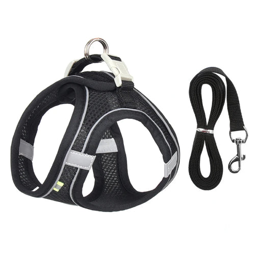 Harnais noir et gris et une laisse pour Chihuahua โ parfaits pour des promenades sรฉcurisรฉes avec votre petit chien ou chat