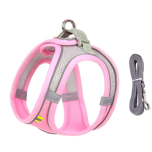 Harnais rose et gris et une laisse pour Chihuahua โ parfaits pour des promenades sรฉcurisรฉes avec votre petit chien ou chat