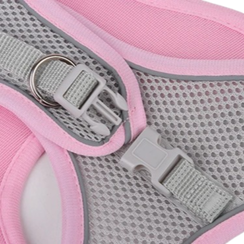 Harnais bleu et gris et une laisse pour Chihuahua โ parfaits pour des promenades sรฉcurisรฉes avec votre petit chien ou chat - zoom