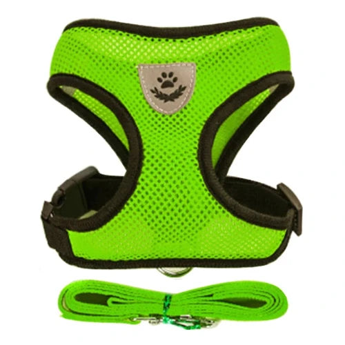 Harnais et laisse verts pour Chihuahua – Confortables et résistants, parfaits pour promener votre petit chien ou chat