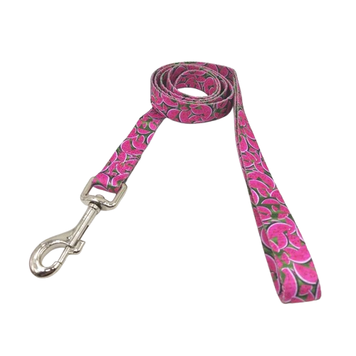 Laisse pour chiens aux motifs Pastèques. Vendu avec son Collier assorti. Confortable, convient aux petits chiens, chihuahuas, ou aux chats. Vendu dans la boutique « Mon Petit Chihuahua »