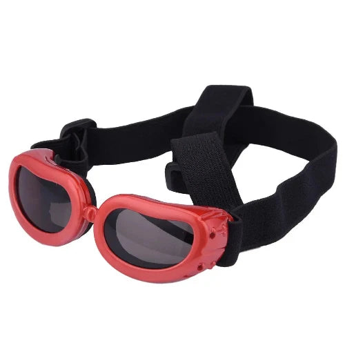 Accessoire pour Chihuahua - Lunettes de protection anti-UV rouges – Protègent les yeux de votre petit chien ou chat du soleil