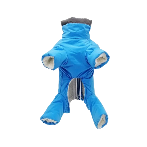 Manteau pour Chihuahua : combinaison bleue et grise – Confortable, parfait pour protéger votre petit chien ou chat pendant les promenades - vue de face