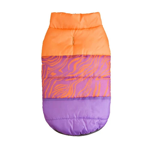 Manteau pour Chihuahua : doudoune orange et violet β Confortable, parfait pour protΓ©ger votre petit chien ou chat pendant les promenades