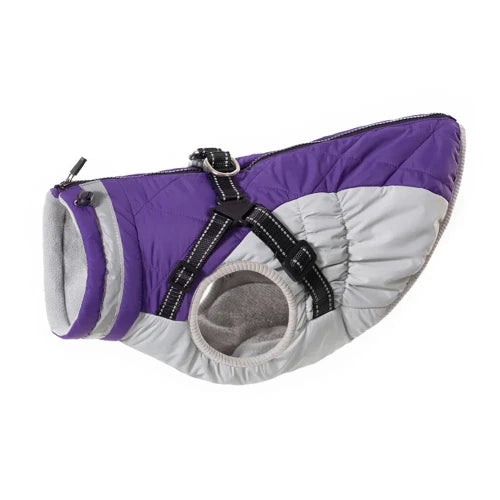 Manteau pour Chihuahua : veste impermΓ©able violet et gris β Confortable, parfait pour protΓ©ger votre petit chien ou chat pendant les promenades