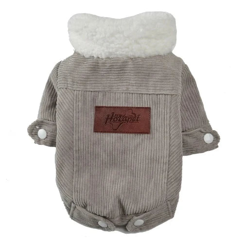 Manteau pour Chihuahua : veste en velours gris β Confortable, parfait pour protΓ©ger votre petit chien ou chat pendant les promenades