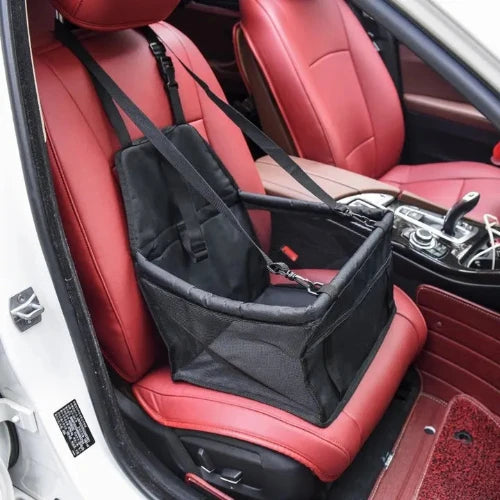 Sac de transport noir rigide pour voiture pour Chihuahua – Idéal pour voyager avec votre petit chien ou chat avec confort et sécurité