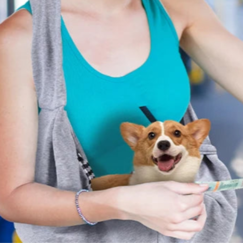 Sac bandoulière de transport gris pour Chihuahua – Léger et pratique, il permet de transporter facilement votre petit chien ou chat