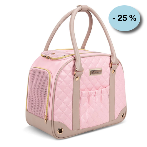 Chihuahua-Transport: LV-Stepptasche