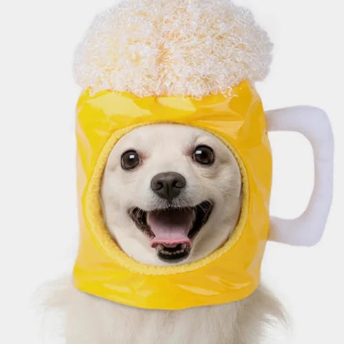 Déguisement Chihuahua : chapeau verre de bière confortable et tendance, parfait pour les fêtes, évènements, anniversaires, ou halloween – taille parfaite pour les petits chiens - vue sur chien