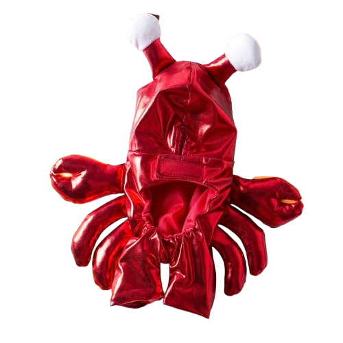 Déguisement Chihuahua : costume d'écrevisse confortable et tendance, parfait pour les fêtes, évènements, anniversaires ou halloween – taille parfaite pour les petits chiens - vue de dos