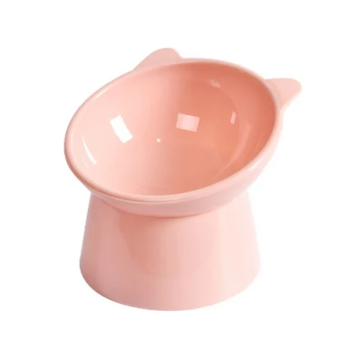 Dog Bowl: Colorful Raised