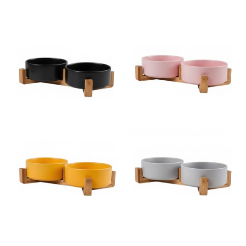 Dog Bowl: Colorful Ceramic