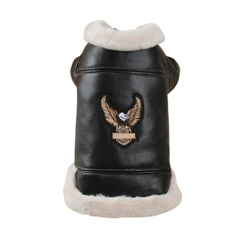 Chihuahua-Mantel: Schwarze Bikerjacke aus Leder