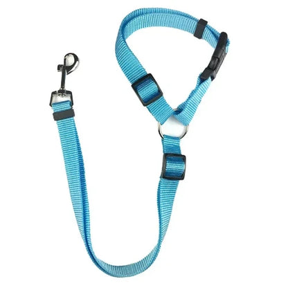 Accessoire pour Chihuahua - Ceinture de voiture bleue avec attache – Sécurisée et ajustable pour attacher votre petit chien ou chat
