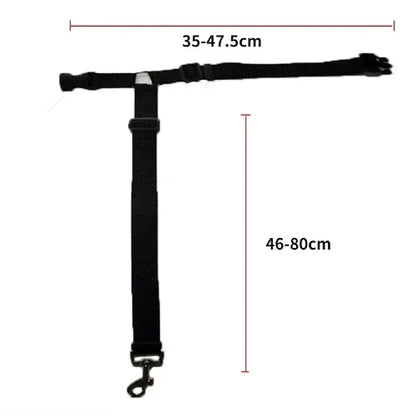 Accessoire pour Chihuahua - Ceinture de voiture noire avec attache – Sécurisée pour attacher votre petit chien ou chat - mesures