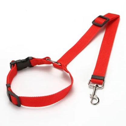 Accessoire pour Chihuahua - Ceinture de voiture rouge avec attache – Sécurisée et ajustable pour attacher votre petit chien ou chat