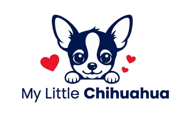 Mon Petit Chihuahua