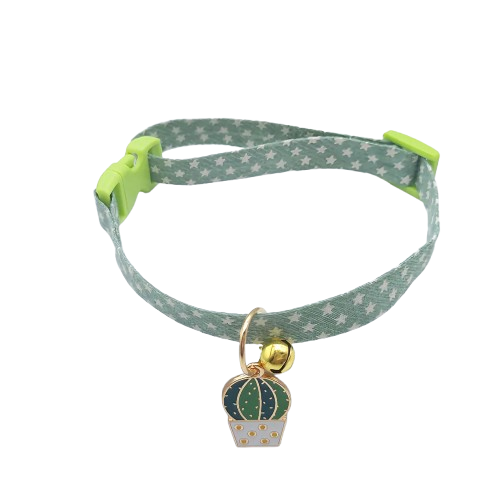 Collier Chihuahua : Cactus Vert