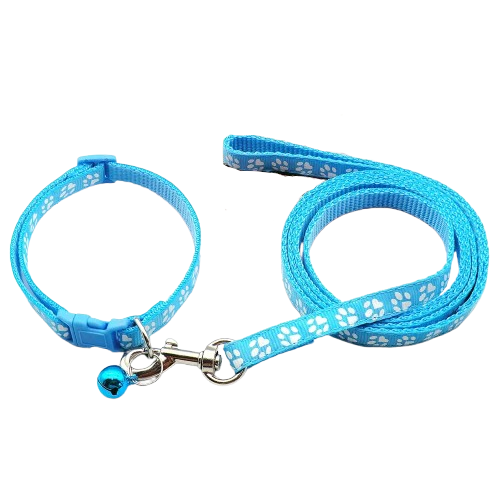Chihuahua Collar: Colorful Collar + Leash