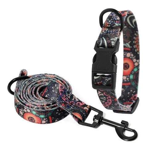 Chihuahua Collar: Colorful Patterned Collar + Leash
