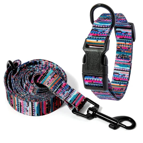 Chihuahua Collar: Colorful Patterned Collar + Leash