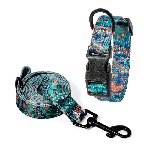 Chihuahua Collar: Colorful Patterned Collar + Leash