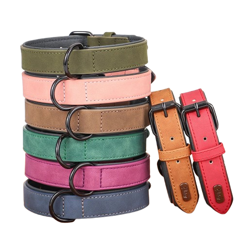 Chihuahua Collar: Leather