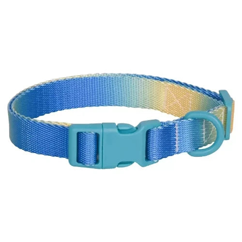 Collier Chihuahua : Dégradé Bleu