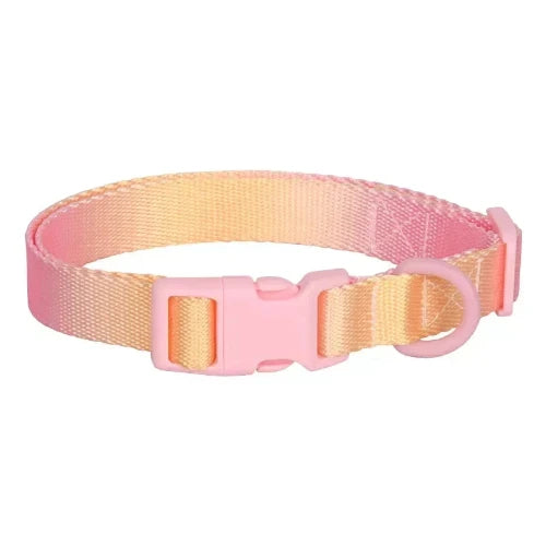 Collier Chihuahua : Dégradé Rose Jaune
