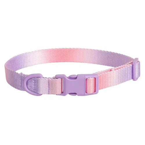Collier Chihuahua : Dégradé Violet Rose