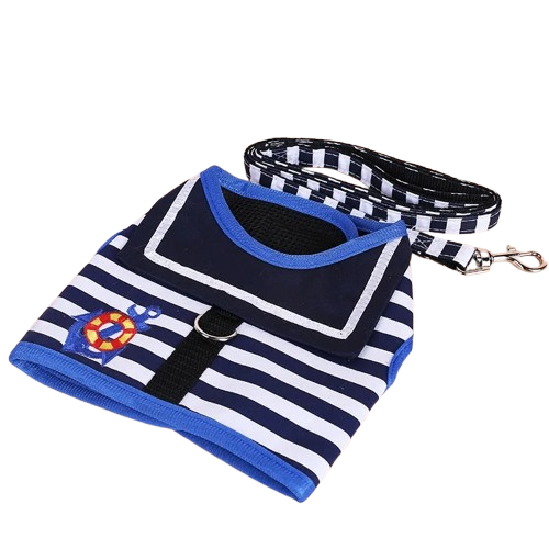 Harnais Chihuahua : Laisse Marin Bleu + Laisse