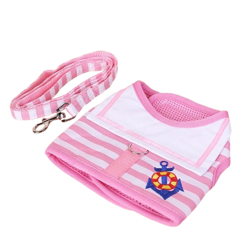 Harnais Chihuahua : Marin Rose + Laisse
