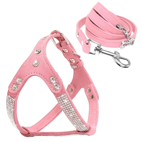 Harnais Chihuahua : Strass Rose + Laisse