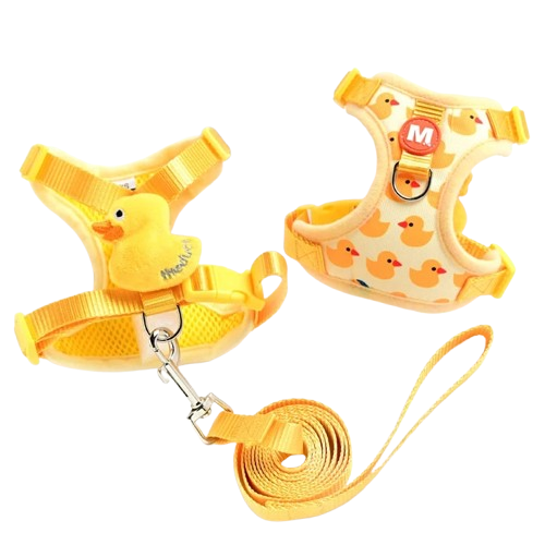 Chihuahua Harness: Duck Pattern + Leash